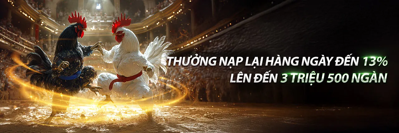Đá gà trực tiếp C1 tại 79sodo
